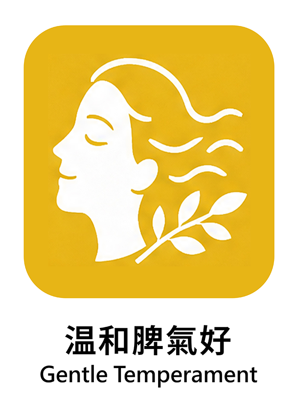 黃色 16